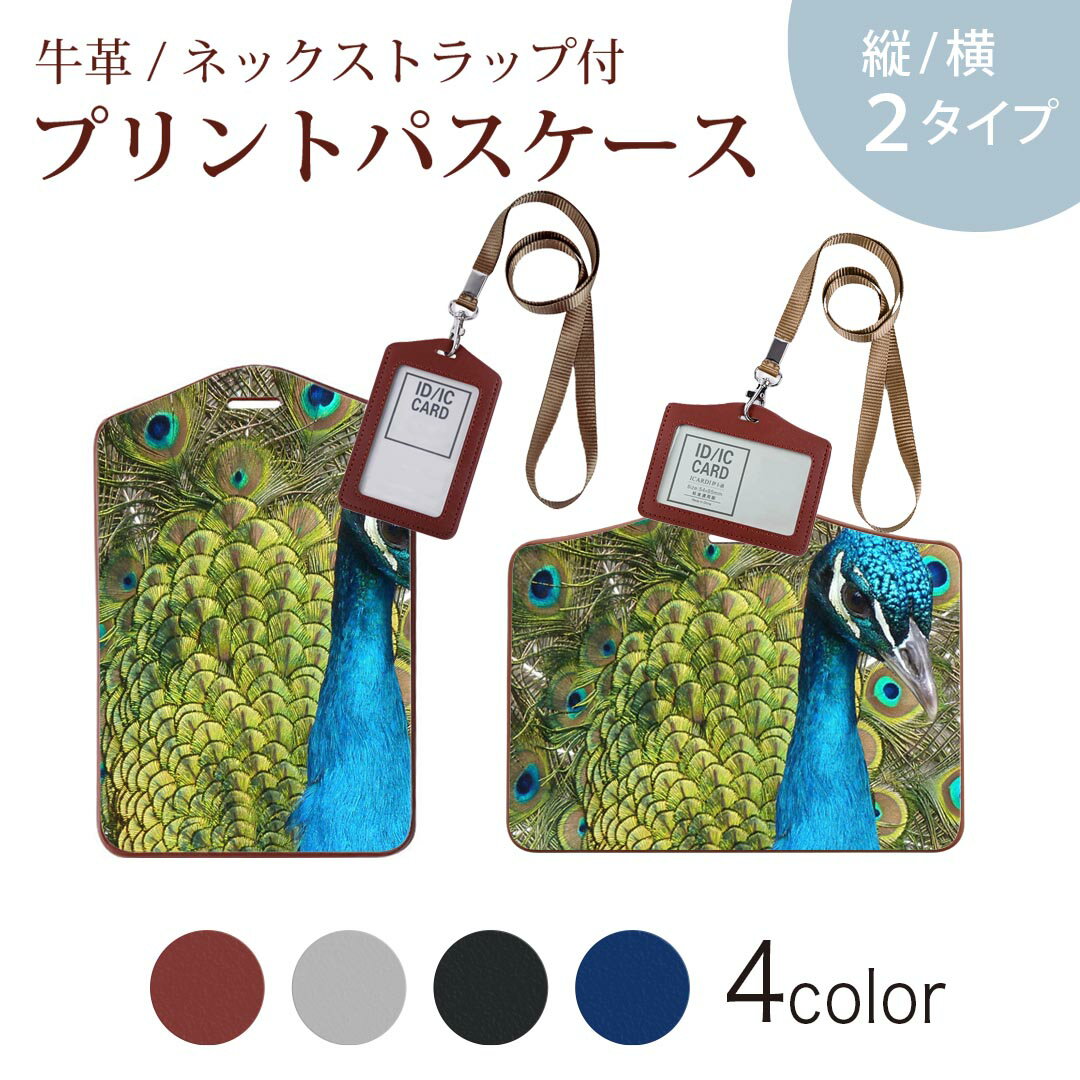パスケース 定期入れ IC IDカード入れ グレー ブラック ブラウン ネックストラップ付 社員証入れ 通学 通勤 passcase 026029 孔雀　鳥　動物　羽根