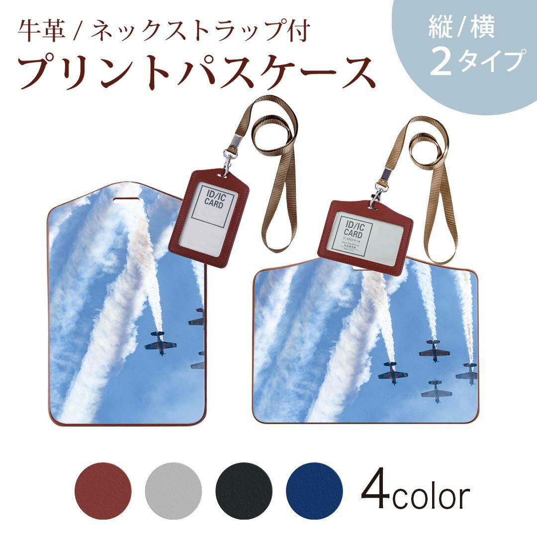 パスケース 定期入れ IC IDカード入れ グレー ブラック ブラウン ネックストラップ付 社員証入れ 通学 通勤 passcase 026042 航空機　空　雲