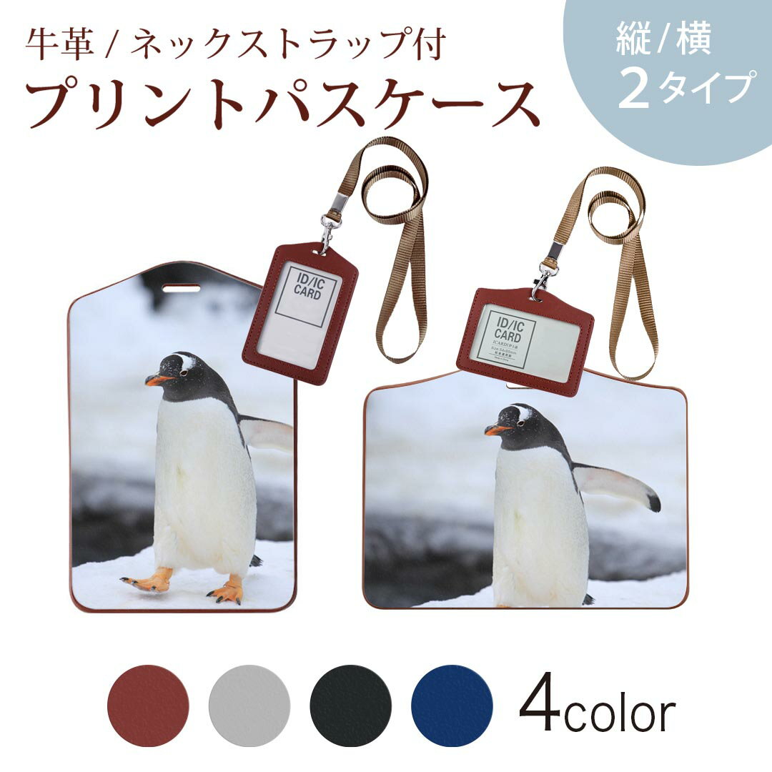 パスケース 定期入れ IC IDカード入れ グレー ブラック ブラウン ネックストラップ付 社員証入れ 通学 通勤 passcase 004679 動物　ペンギン　写真