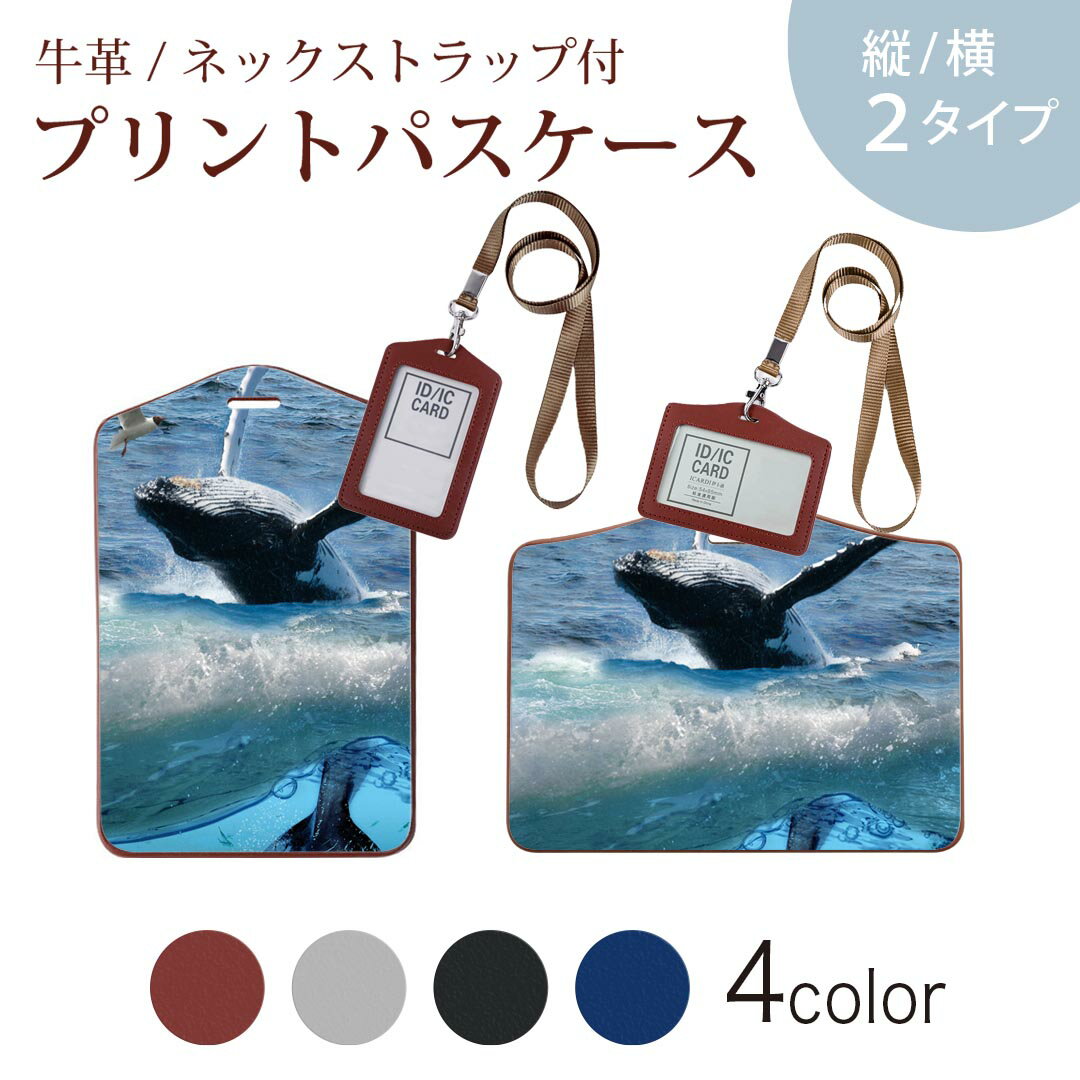 パスケース 定期入れ IC IDカード入れ グレー ブラック ブラウン ネックストラップ付 社員証入れ 通学 通勤 passcase 004897 海　鯨　写真