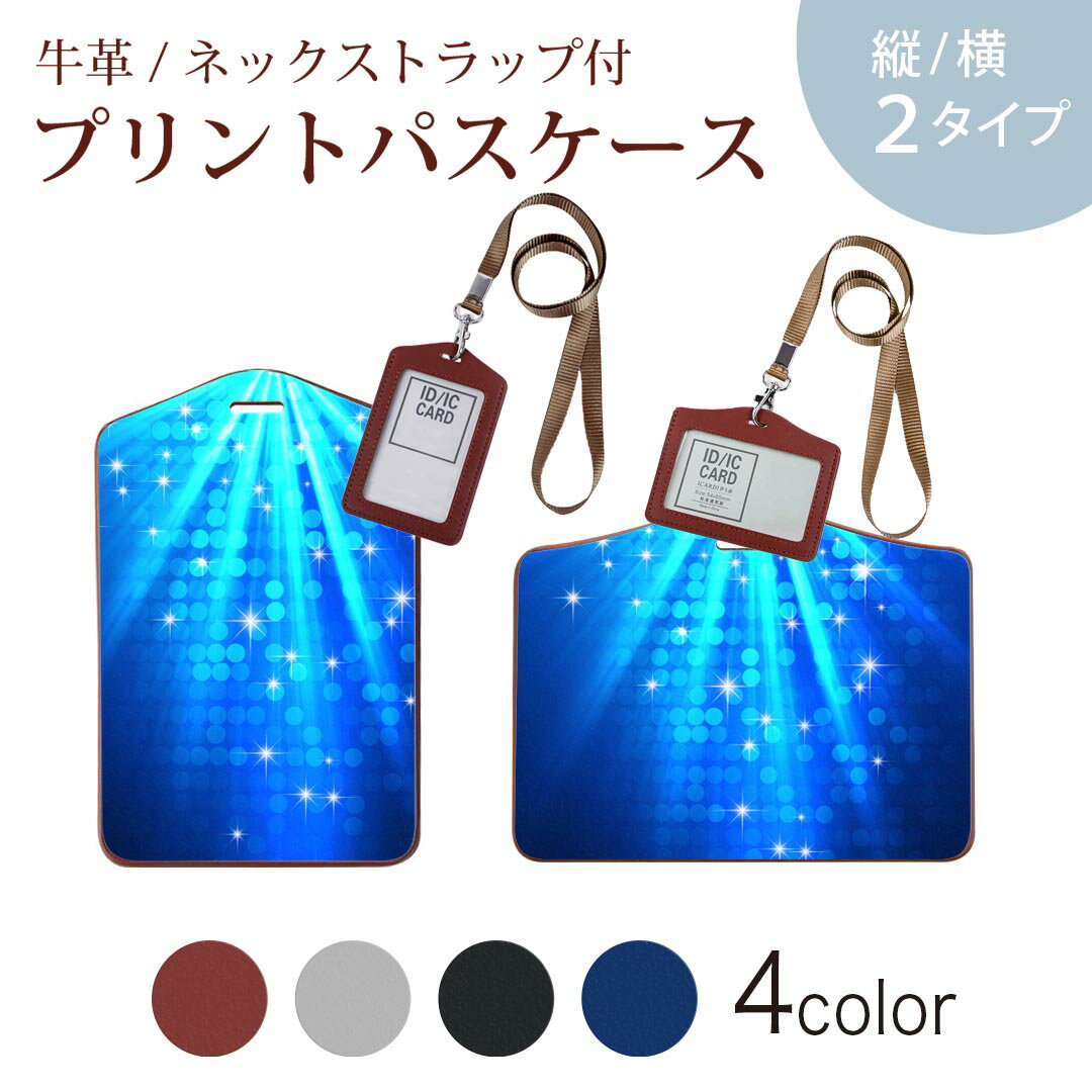 パスケース 定期入れ IC IDカード入れ グレー ブラック ブラウン ネックストラップ付 社員証入れ 通学 通勤 passcase 004915 青　キラキラ　イラスト
