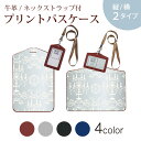 パスケース 定期入れ IC IDカード入れ グレー ブラック ブラウン ネックストラップ付 社員証入れ 通学 通勤 passcase 005096 シャンデリア イラスト グレー(4)
