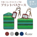 パスケース 定期入れ IC IDカード入れ グレー ブラック ブラウン ネックストラップ付 社員証入れ 通学 通勤 passcase 005111 ボーダー 緑 イラスト(4)