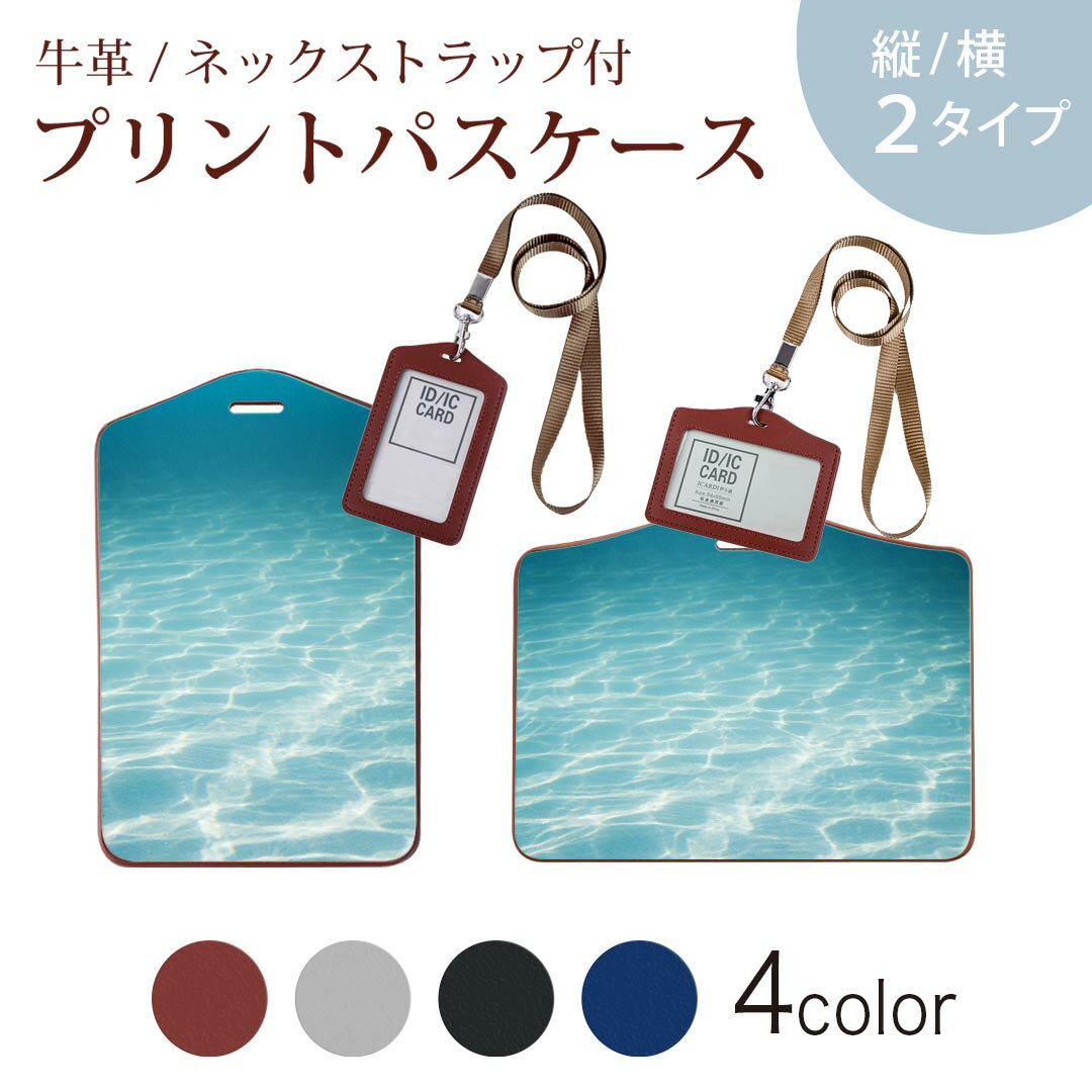 パスケース 定期入れ IC IDカード入れ グレー ブラック ブラウン ネックストラップ付 社員証入れ 通学 通勤 passcase 006566 写真　海