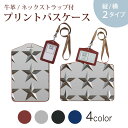 パスケース 定期入れ IC IDカード入れ グレー ブラック ブラウン ネックストラップ付 社員証入れ 通学 通勤 passcase 006972 木目 星 スター 模様