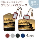 パスケース 定期入れ IC IDカード入れ グレー ブラック ブラウン ネックストラップ付 社員証入れ 通学 通勤 passcase 007901 写真 汽車 乗り物 セピア(4)