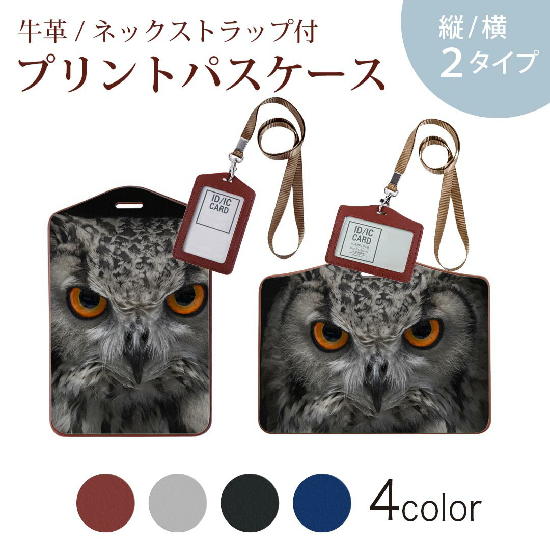 パスケース 定期入れ IC IDカード入れ グレー ブラック ブラウン ネックストラップ付 社員証入れ 通学 通勤 passcase 007937 写真　フクロウ　黒　ブラック