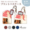 パスケース 定期入れ IC IDカード入れ グレー ブラック ブラウン ネックストラップ付 社員証入れ 通学 通勤 passcase 008439 写真 犬 帽子 赤 レッド