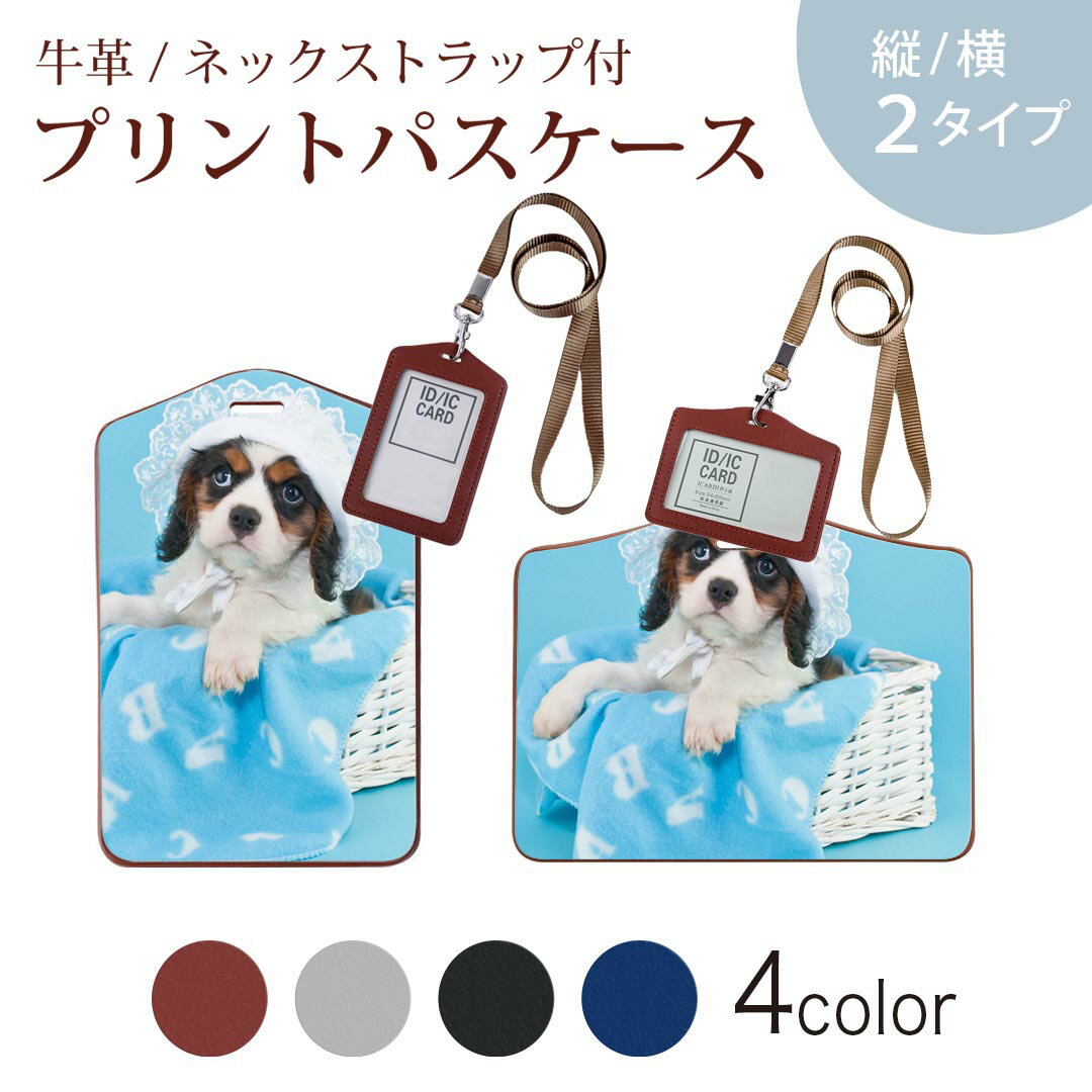 パスケース 定期入れ IC IDカード入れ グレー ブラック ブラウン ネックストラップ付 社員証入れ 通学 通勤 passcase 008499 写真　水色　青　ブルー　犬