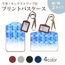 パスケース 定期入れ IC IDカード入れ グレー ブラック ブラウン ネックストラップ付 社員証入れ 通学 通勤 passcase 008594 雪 結晶 青 ブルー 水色 模様(4)
