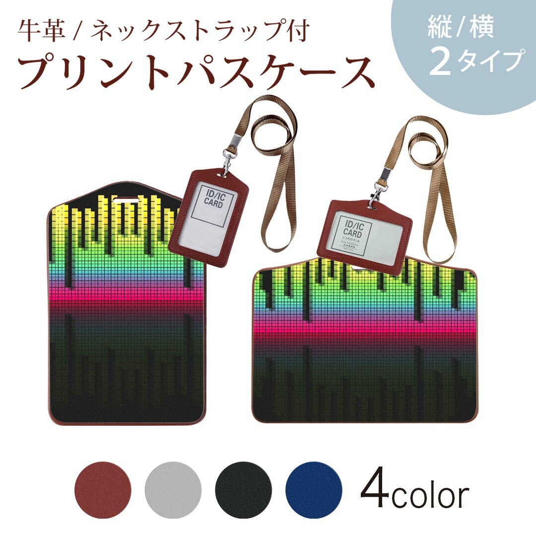 パスケース 定期入れ IC IDカード入れ グレー ブラック ブラウン ネックストラップ付 社員証入れ 通学 通勤 passcase 008705 カラフル 黒 ブラック ラジオ
