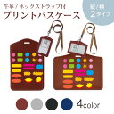 パスケース 定期入れ IC IDカード入れ グレー ブラック ブラウン ネックストラップ付 社員証入れ 通学 通勤 passcase 009391 カラフル ピンク 青 黄色