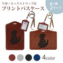 パスケース 定期入れ IC IDカード入れ グレー ブラック ブラウン ネックストラップ付 社員証入れ 通学 通勤 passcase 011006 英語 星 メッセージ