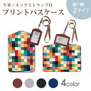 パスケース 定期入れ IC IDカード入れ グレー ブラック ブラウン ネックストラップ付 社員証入れ 通学 通勤 passcase 011764 カラフル モザイク シンプル(4)