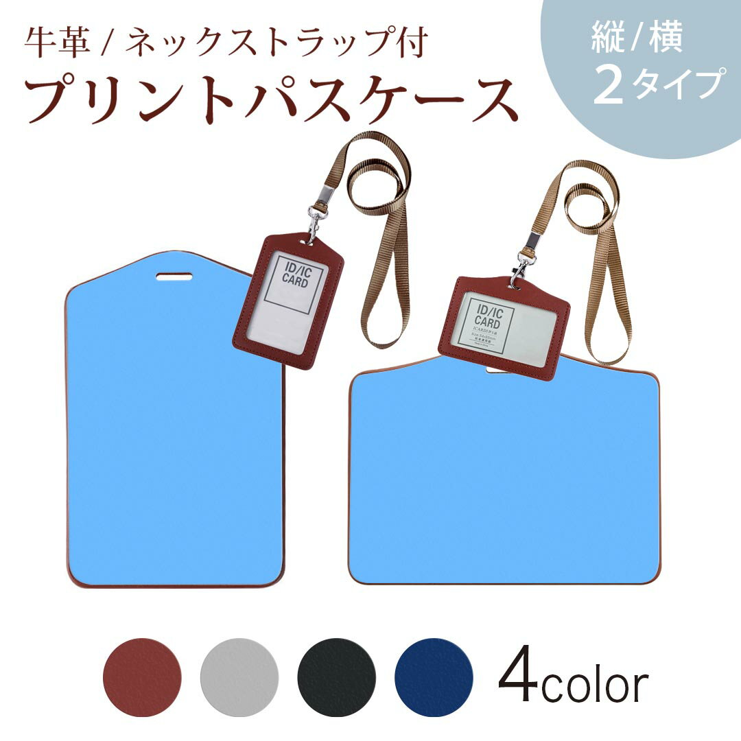 パスケース 定期入れ IC IDカード入れ グレー ブラック ブラウン ネックストラップ付 社員証入れ 通学 通勤 passcase 012242 水色　単色　シンプル