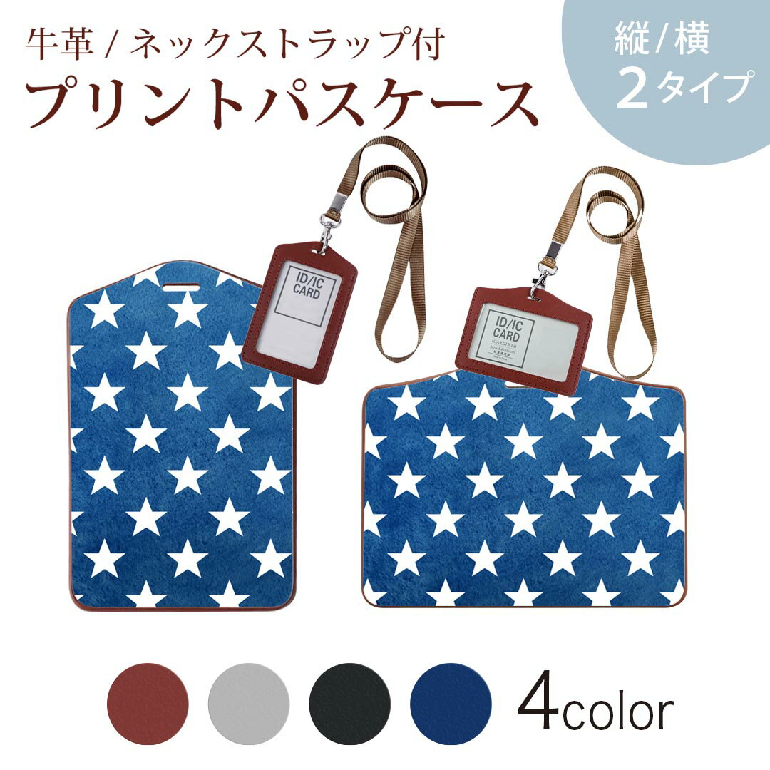 パスケース 定期入れ IC IDカード入れ グレー ブラック ブラウン ネックストラップ付 社員証入れ 通学 通勤 passcase 012367 青　星　スター