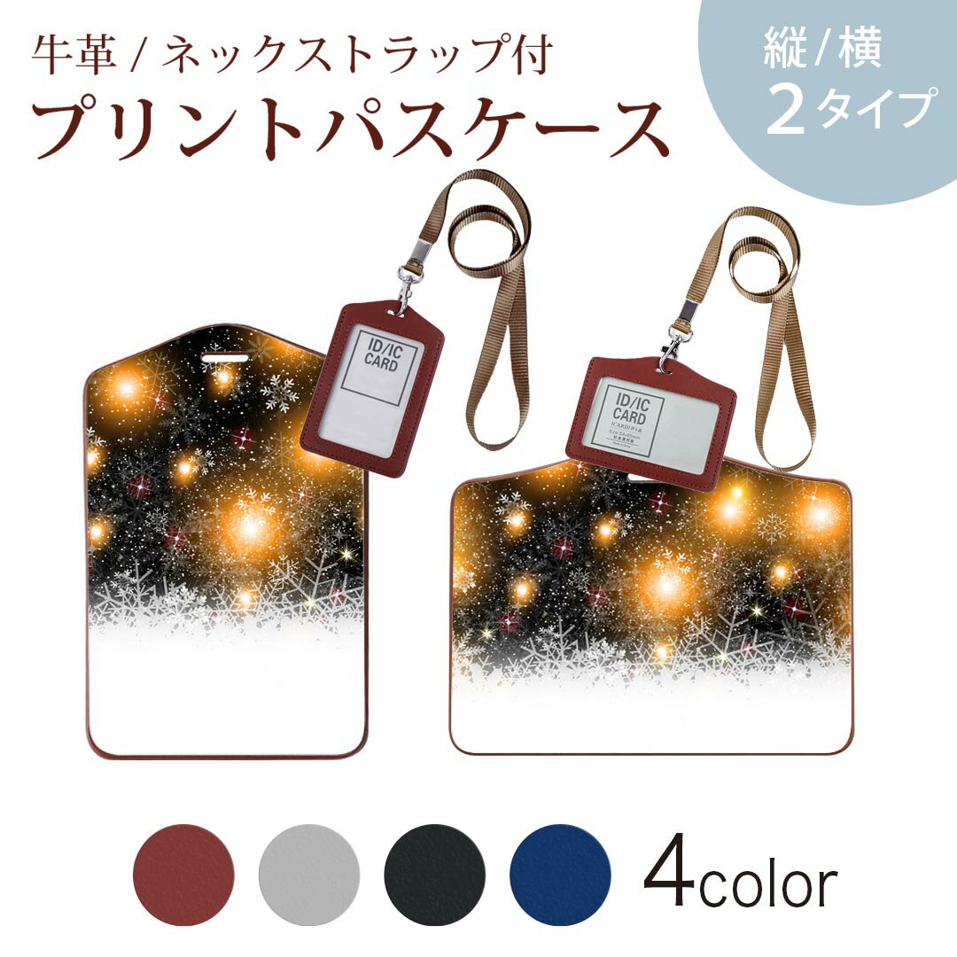 パスケース 定期入れ IC IDカード入れ グレー ブラック ブラウン ネックストラップ付 社員証入れ 通学 通勤 passcase 012674 キラキラ　空　雪
