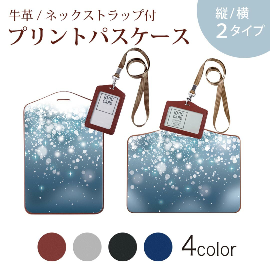 パスケース 定期入れ IC IDカード入れ グレー ブラック ブラウン ネックストラップ付 社員証入れ 通学 通勤 passcase 012799 空　青　キラキラ