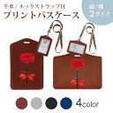 パスケース 定期入れ IC IDカード入れ グレー ブラック ブラウン ネックストラップ付 社員証入れ 通学 通勤 passcase 012929 母の日 カー...