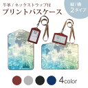 パスケース 定期入れ IC IDカード入れ グレー ブラック ブラウン ネックストラップ付 社員証入れ 通学 通勤 passcase 013933 地図 クール(4)