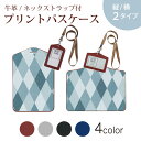 パスケース 定期入れ IC IDカード入れ グレー ブラック ブラウン ネックストラップ付 社員証入れ 通学 通勤 passcase 014378 模様 アーガ...