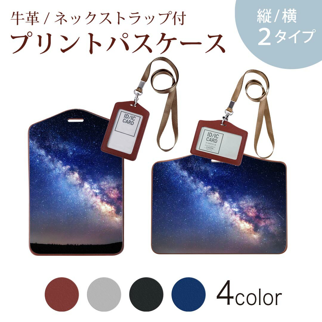 パスケース 定期入れ IC IDカード入れ グレー ブラック ブラウン ネックストラップ付 社員証入れ 通学 通勤 passcase 014939 星　夜空　オーロラ　虹色　景色　自然
