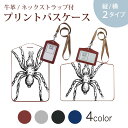 パスケース 定期入れ IC IDカード入れ グレー ブラック ブラウン ネックストラップ付 社員証入れ 通学 通勤 passcase 017487 ハロウィン ホラー リアル 蜘蛛 クモ
