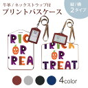 パスケース 定期入れ IC IDカード入れ グレー ブラック ブラウン ネックストラップ付 社員証入れ 通学 通勤 passcase 017501 ハロウィン かわいい trick or trat 英字 カラフル