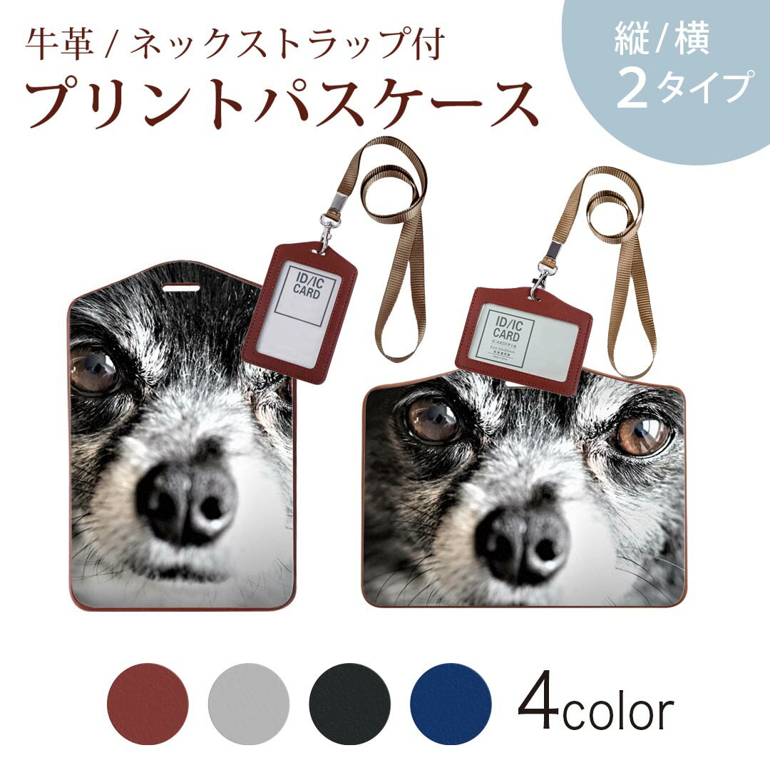パスケース 定期入れ IC IDカード入れ グレー ブラック ブラウン ネックストラップ付 社員証入れ 通学 通勤 passcase 018313 犬 写真