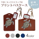 パスケース 定期入れ IC IDカード入れ グレー ブラック ブラウン ネックストラップ付 社員証入れ 通学 通勤 passcase 019004 イラスト カメ 亀