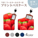 パスケース リールキーホルダー付 定期入れ IC IDカード入れ グレー ブラック ブラウン ネイビー 紛失防止 70cm伸びる 社員証入れ 通学 通勤 passcase 000149 苺 いちご 赤 果物(4)