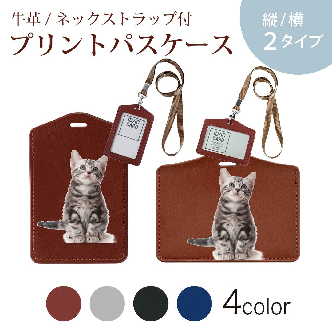 パスケース リールキーホルダー付 定期入れ IC IDカード入れ グレー ブラック ブラウン ネイビー 紛失防止 70cm伸びる 社員証入れ 通学 通勤 passcase 001070 猫 アメリカンショートヘア
