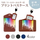 パスケース リールキーホルダー付 定期入れ IC IDカード入れ グレー ブラック ブラウン ネイビー 紛失防止 70cm伸びる 社員証入れ 通学 通勤 passcase 001161 カラフル レインボー(4)