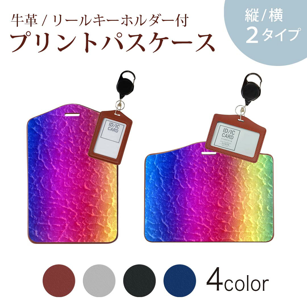 パスケース リールキーホルダー付 定期入れ IC IDカード入れ グレー ブラック ブラウン ネイビー 紛失防止 70cm伸びる 社員証入れ 通学 通勤 passcase 001564 虹色　カラフル