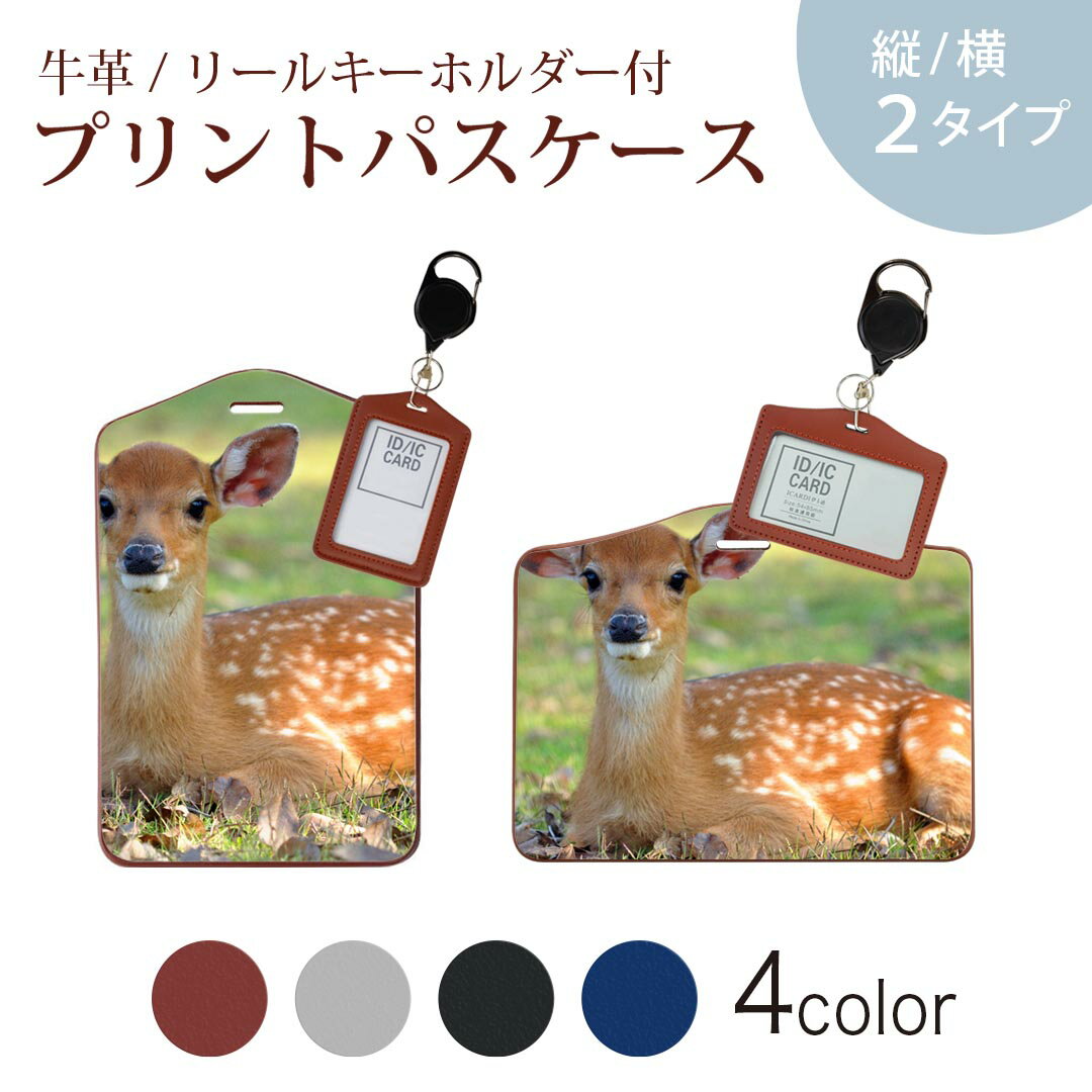 �ѥ������� �꡼�륭���ۥ������ ������� IC ID���������� ���졼 �֥�å� �֥饦�� �ͥ��ӡ� ʶ���ɻ� 70cm���Ӥ� �Ұ������� �̳� �̶� passcase 002579 ����ưʪ���̿�