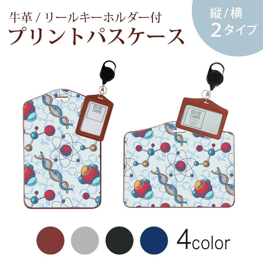 皮革制 - パスケース リールキーホルダー付 定期入れ IC IDカード入れ グレー ブラック ブラウン ネイビー 紛失防止 70cm伸びる 社員証入れ 通学 通勤 passcase 008325 遺伝子　カラフル　イラスト　模様