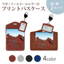 パスケース リールキーホルダー付 定期入れ IC IDカード入れ グレー ブラック ブラウン ネイビー 紛失防止 70cm伸びる 社員証入れ 通学 通勤 pas...