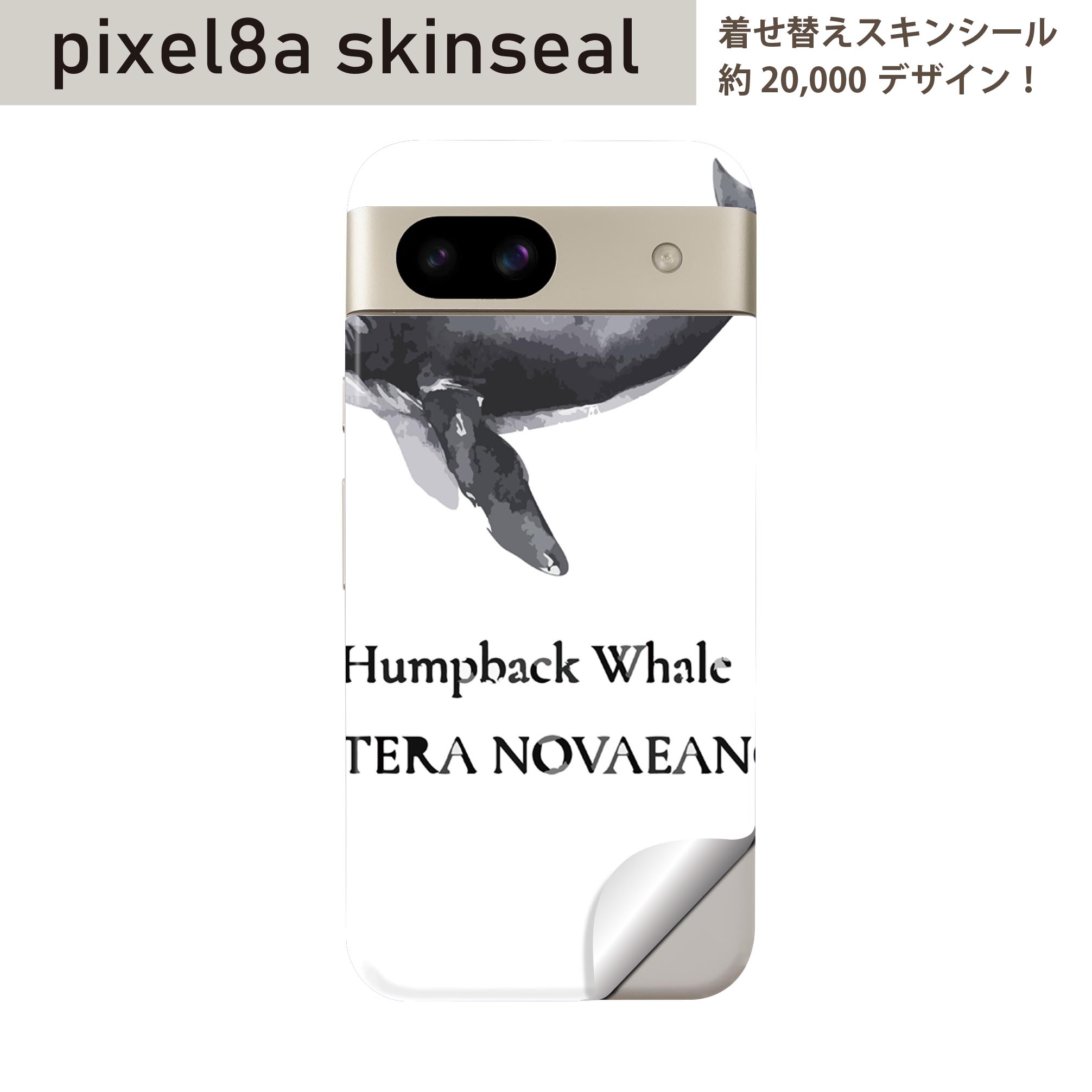 Pixel 8a 用 スキンシール pixel8a 全面スキンシール フル 背面 側面 ステッカー 保護シール 2枚入り 海の生物 ザトウクジラ Humpback whale 019740