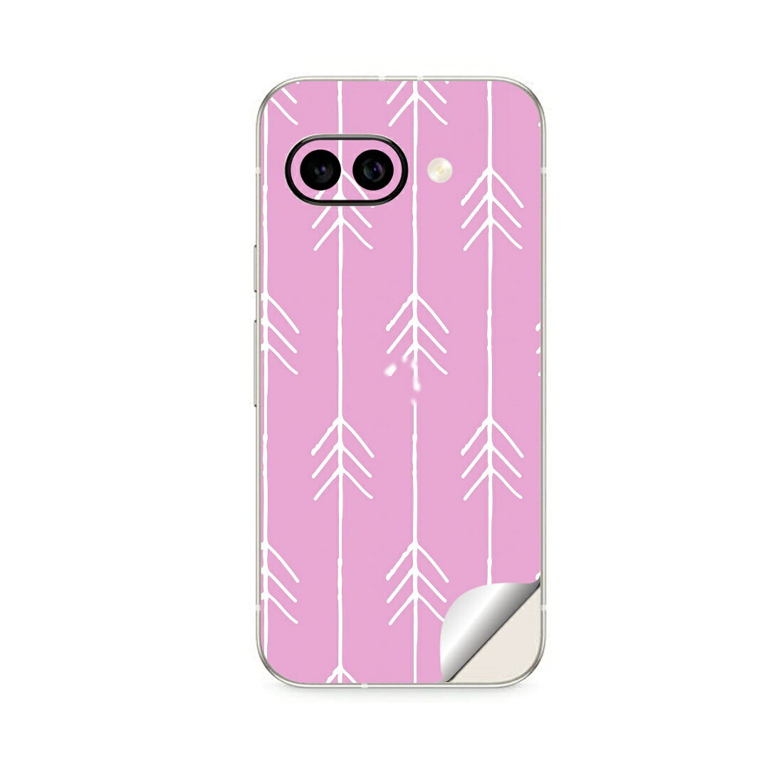 Google Pixel 9/9a/9 Pro/9 Pro XL/9 Pro Fold 対応 スキンシール きせかえ 背面 保護 カバー ステッカー スマホ おしゃれ 貼るだけ 同柄2枚入り igsticker 050316