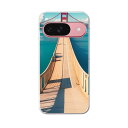 Google Pixel 9 / Pixel 9 pro 共通対応 6.3インチ ハードケース pixel9 pixel9pro 対応 ケース カバー 033591 橋 海(2)