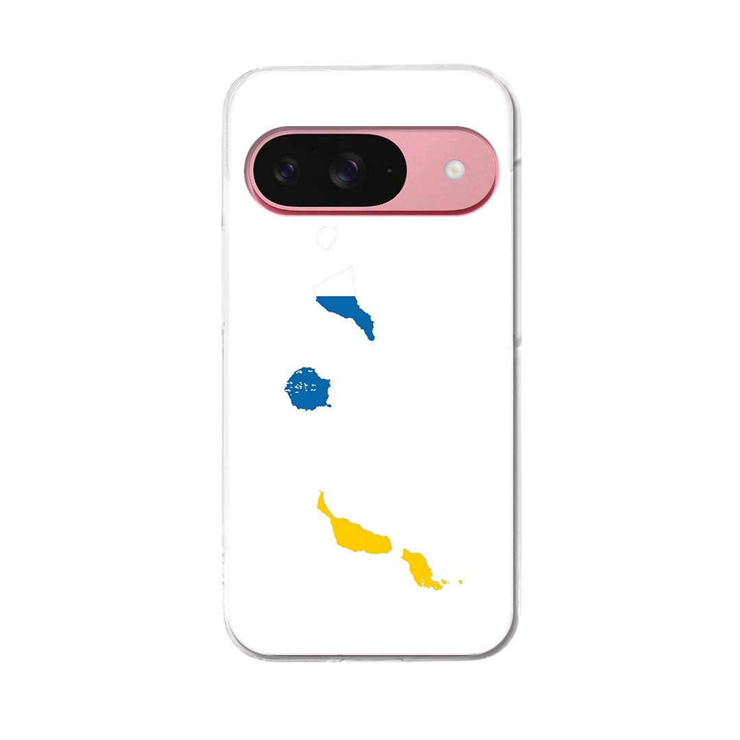 Google Pixel 9 / Pixel 9 pro 共通対応 6.3インチ ハードケース pixel9 pixel9pro 対応 ケース カバー 018791 canary_island カナリア諸島