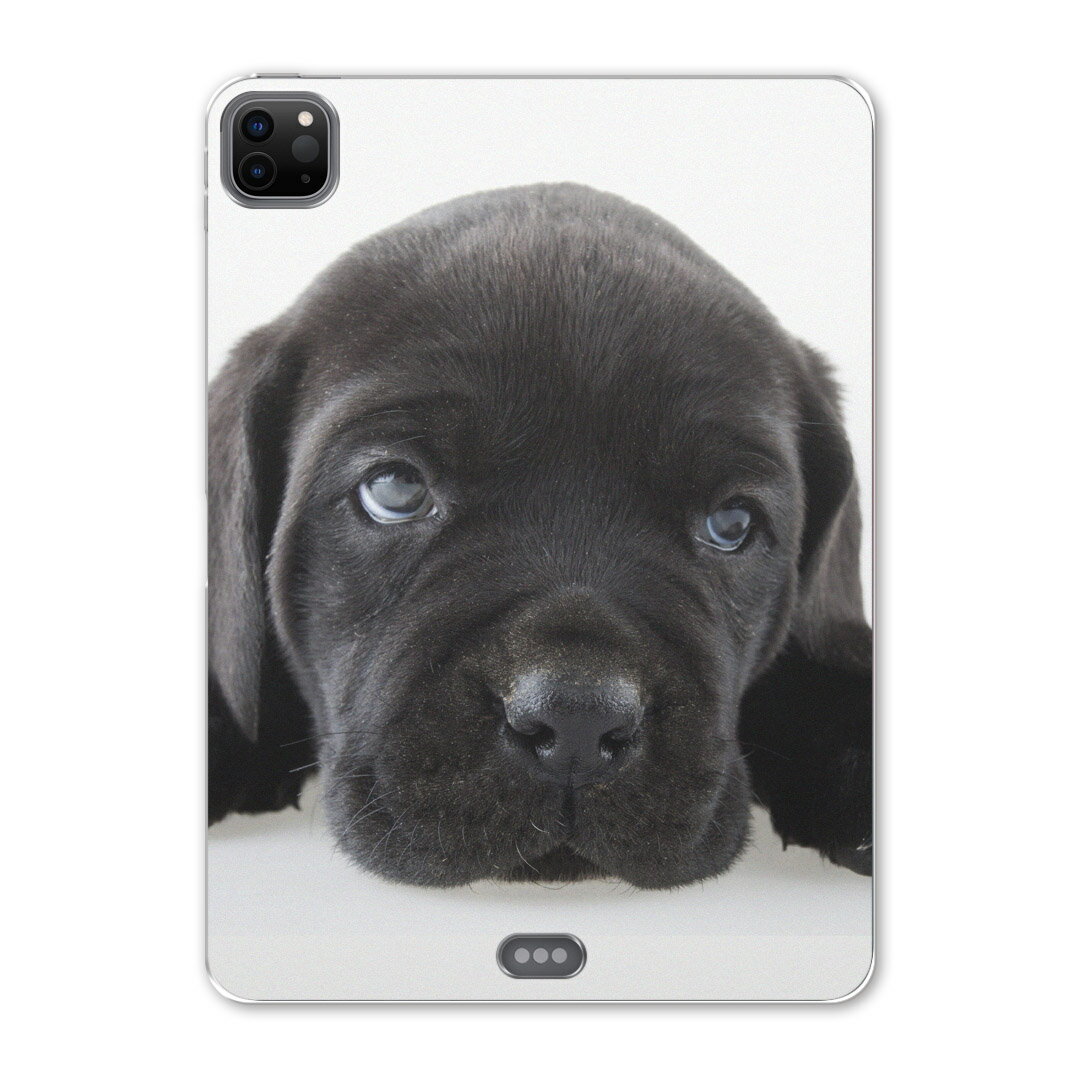 iPad Pro 12.9inch 2020発売モデル 第4世代