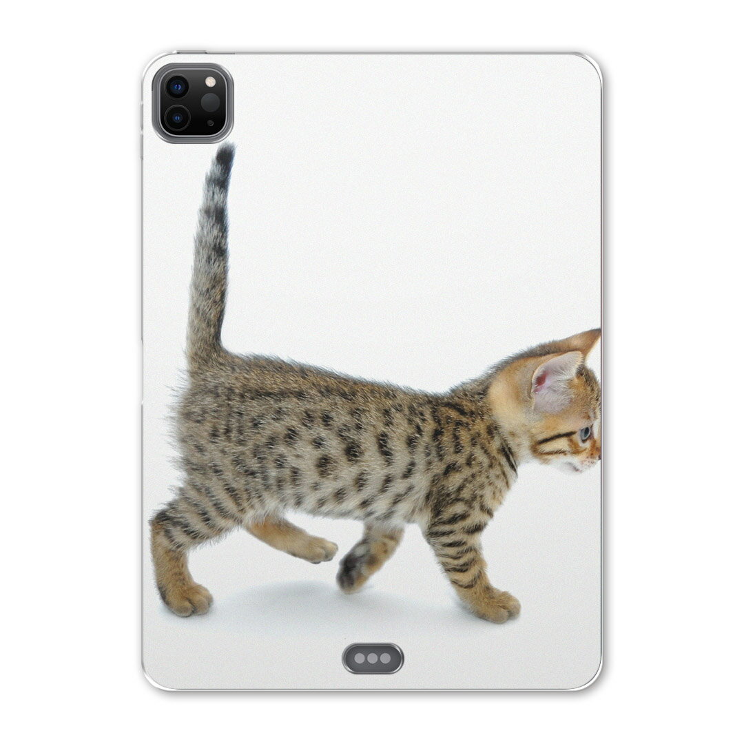 iPad Pro 12.9inch 2020発売モデル 第4世代