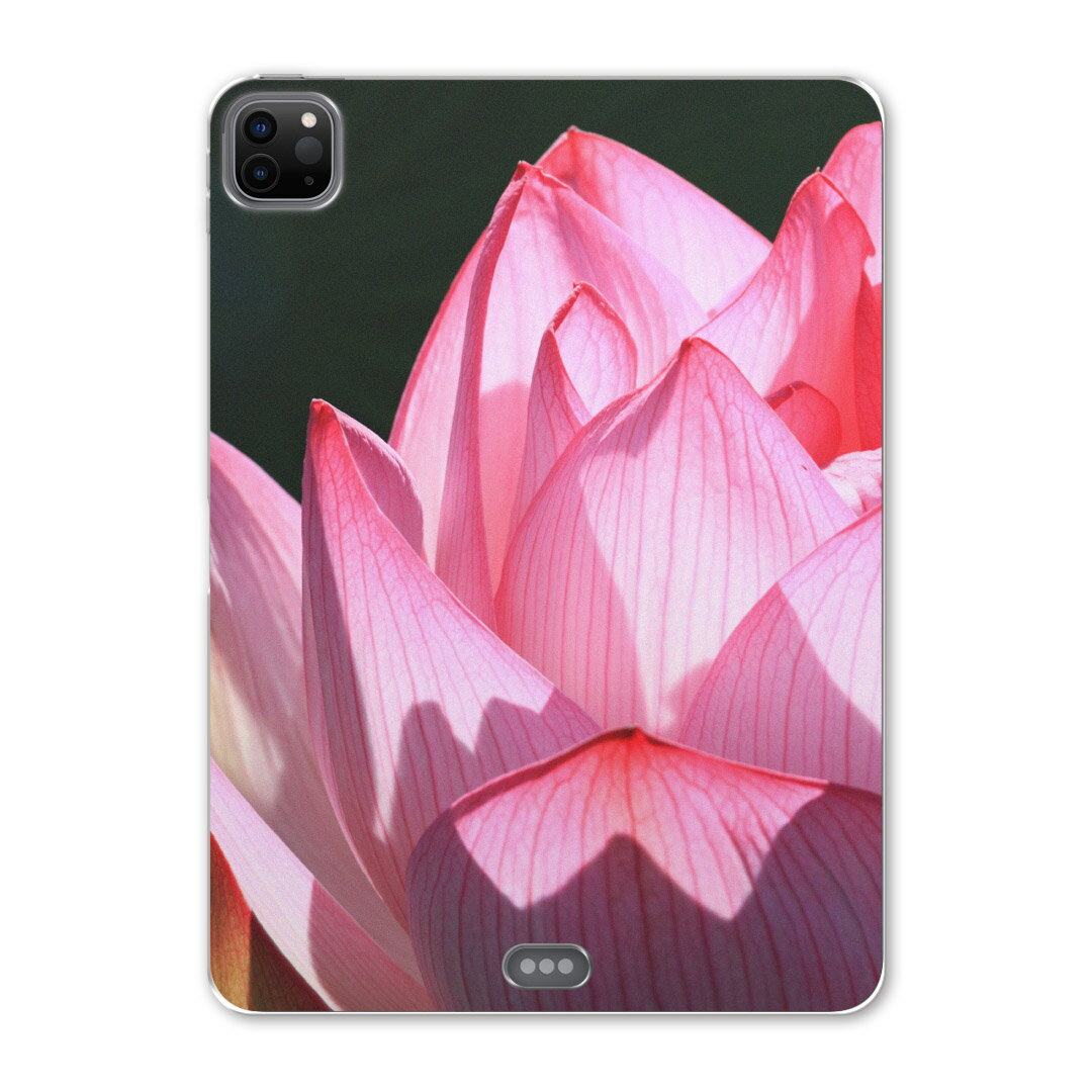 iPad Pro 12.9inch 2020発売モデル 第4世代