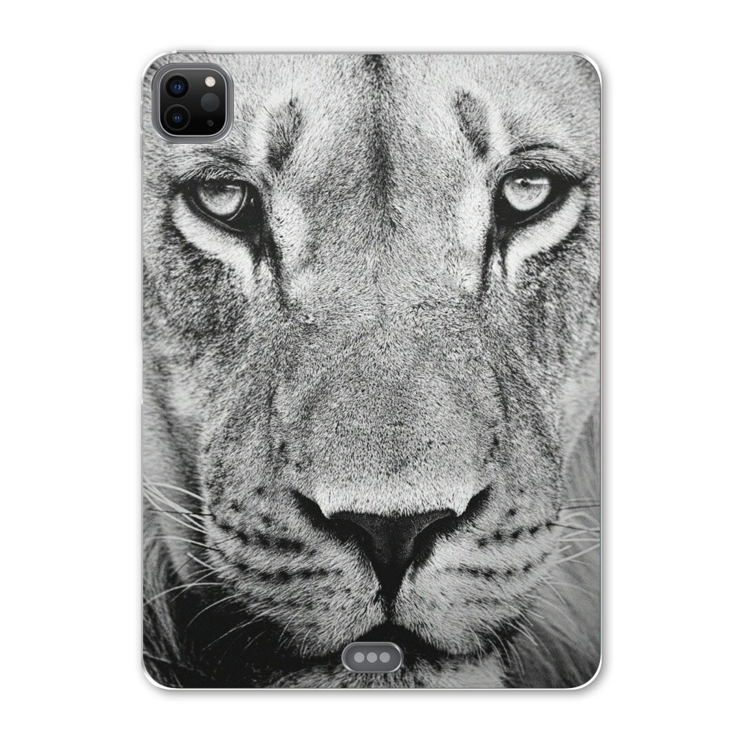 iPad Pro 12.9inch 2020発売モデル 第4世代