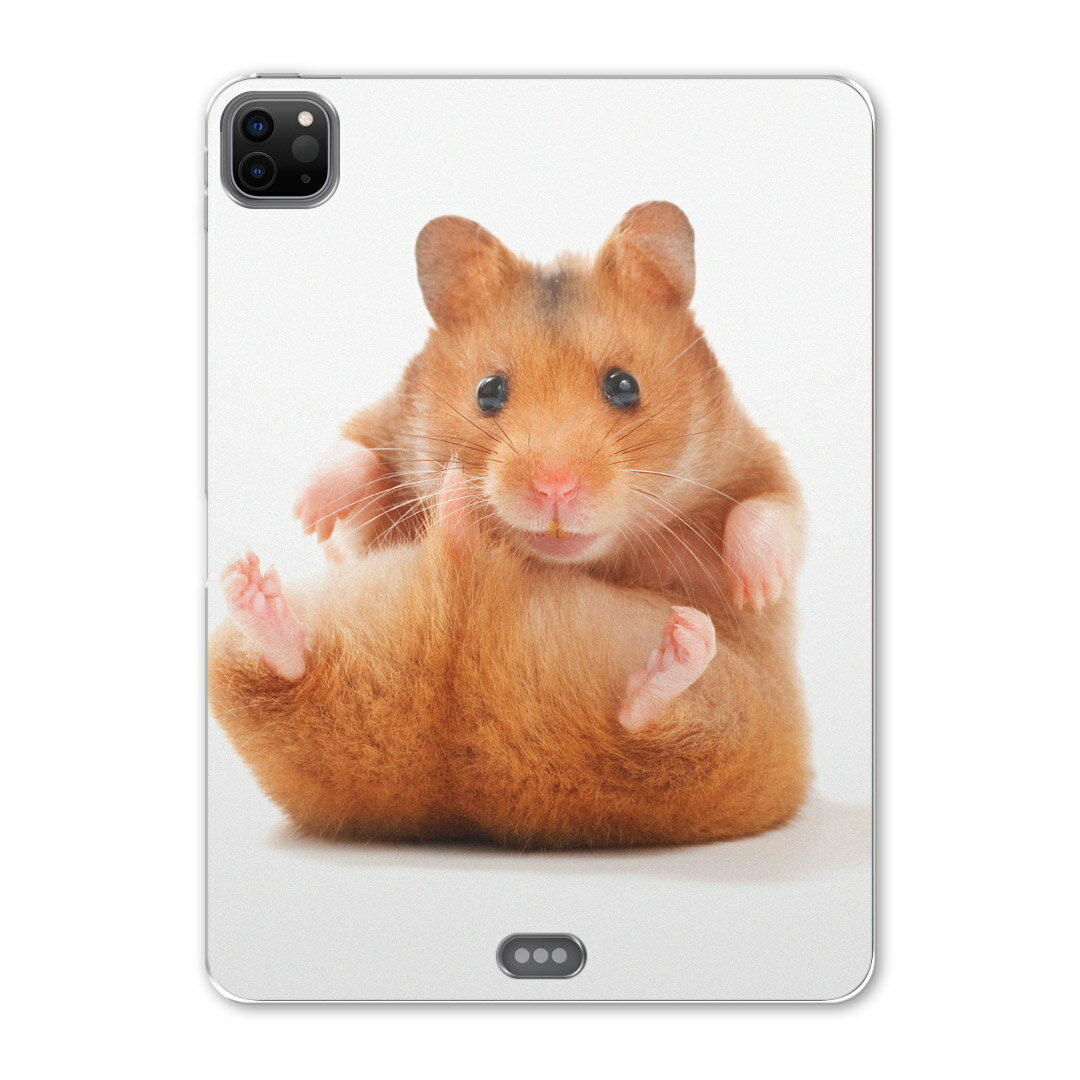 iPad Pro 12.9inch 2020発売モデル 第4世代