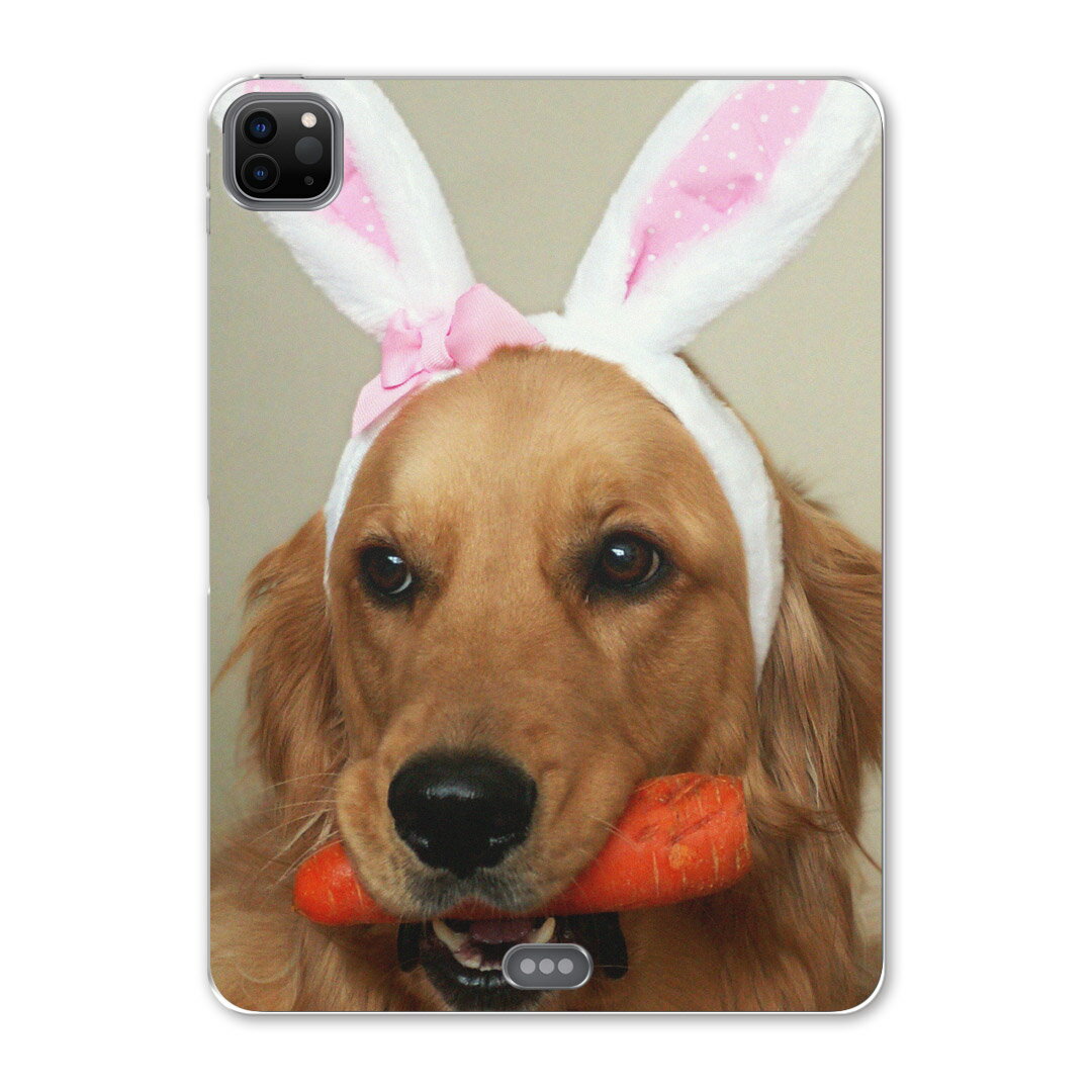 iPad Pro 12.9inch 2020発売モデル 第4世代