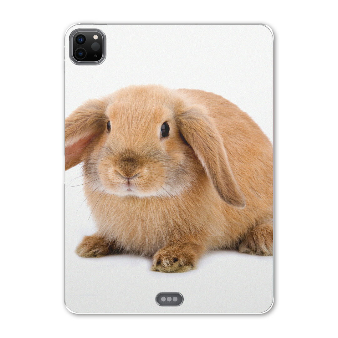 iPad Pro 12.9inch 2020発売モデル 第4世代