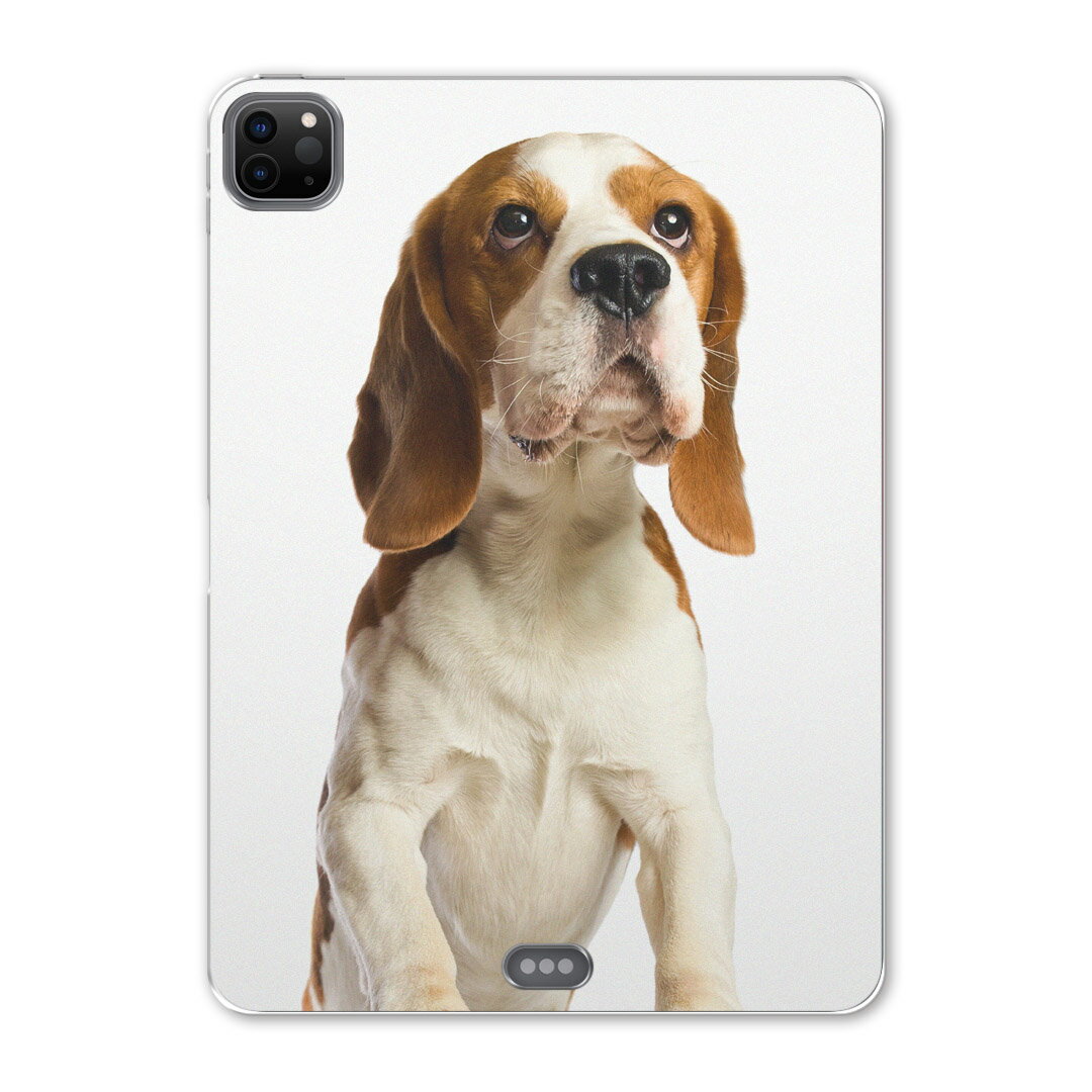 iPad Pro 12.9inch 2020発売モデル 第4世代