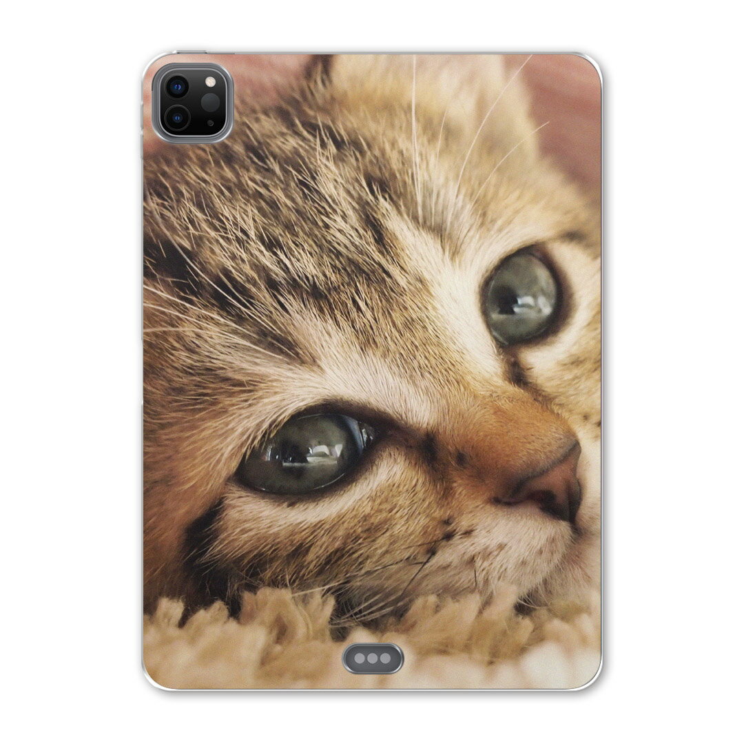 iPad Pro 12.9inch 2020発売モデル 第4世代